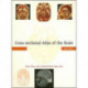 Cross-sectional Atlas of the Brain and DVD
