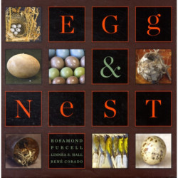 Egg & Nest