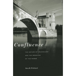 Confluence: The Nature of Technology and the Remaking of the Rhone