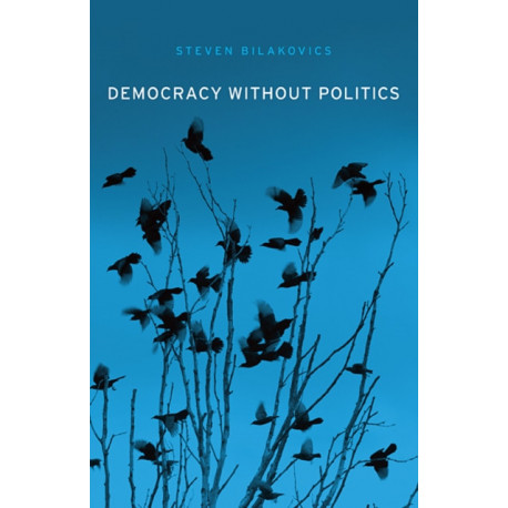 Democracy without Politics