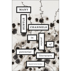 Many Subtle Channels: In Praise of Potential Literature