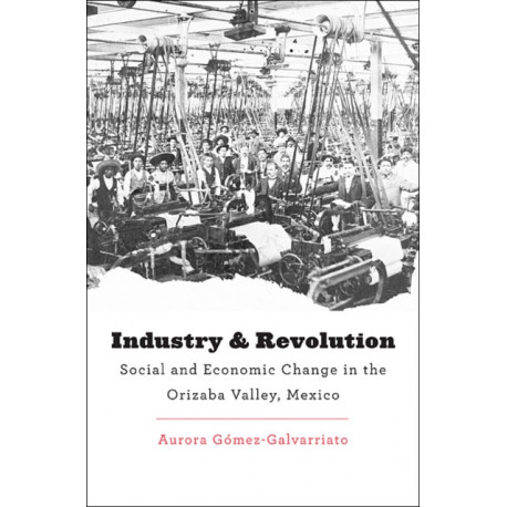 Industry and Revolution: Social and Economic Change in the Orizaba Valley, Mexico