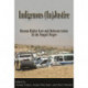 Indigenous (In)Justice: Human Rights Law and Bedouin Arabs in the Naqab/Negev