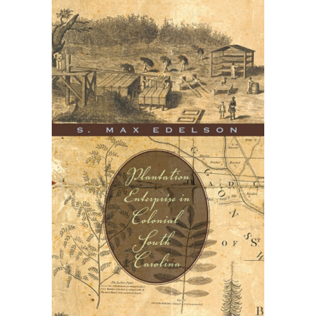 Plantation Enterprise in Colonial South Carolina