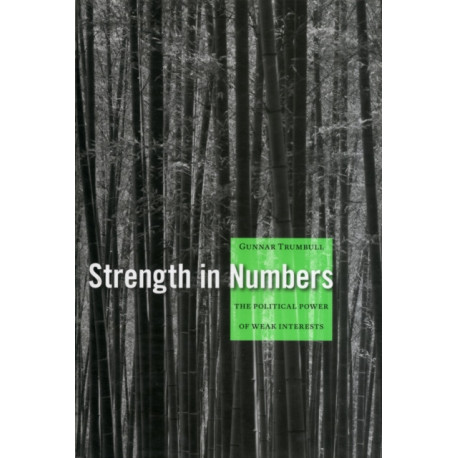 Strength in Numbers: The Political Power of Weak Interests
