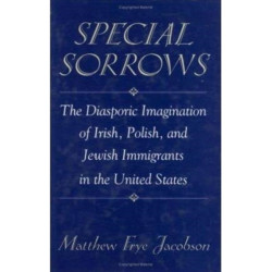 Special Sorrows: The Diasporic Imagination of Irish, Polish, and Jewish Immigrants in the United States