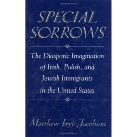 Special Sorrows: The Diasporic Imagination of Irish, Polish, and Jewish Immigrants in the United States