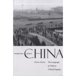 Worrying about China: The Language of Chinese Critical Inquiry