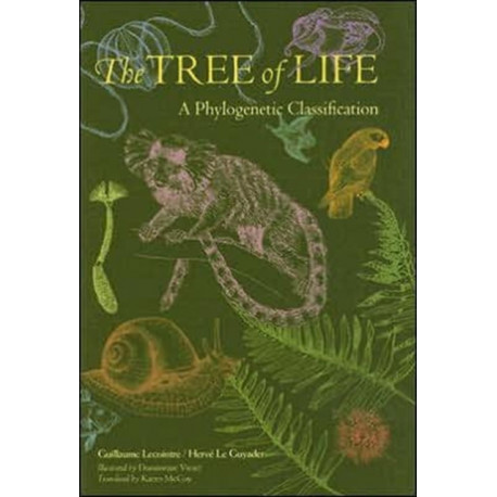 The Tree of Life: A Phylogenetic Classification