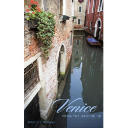 Venice from the Ground Up