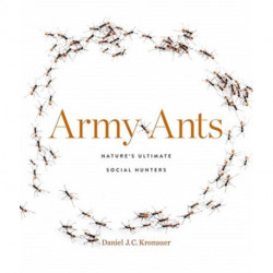 Army Ants: Nature’s Ultimate Social Hunters