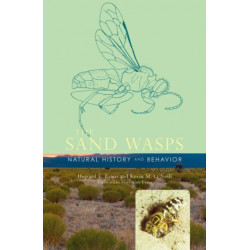 The Sand Wasps: Natural History and Behavior