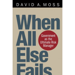 When All Else Fails: Government as the Ultimate Risk Manager
