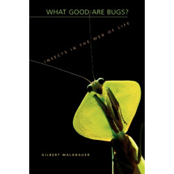 What Good Are Bugs?: Insects in the Web of Life