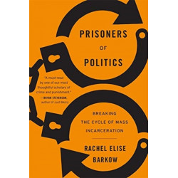 Prisoners of Politics: Breaking the Cycle of Mass Incarceration