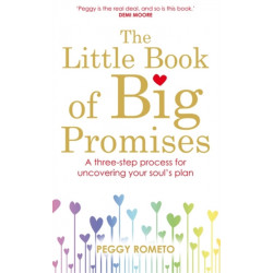 The Little Book of Big Promises: A Three-Step Process for Uncovering Your Soul's Plan