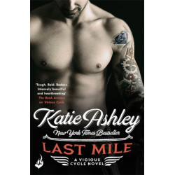 Last Mile: Vicious Cycle 3
