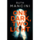One Dark, Two Light: A gripping thriller from the author of The Woman on the Ledge