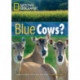 Blue Cows?: Footprint Reading Library 1600