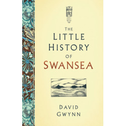 The Little History of Swansea