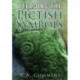 Decoding the Pictish Symbols