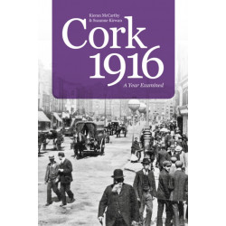 Cork 1916: A Year Examined