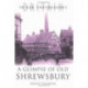 Glimpse of Old Shrewsbury