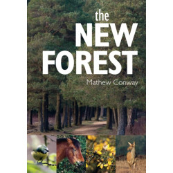The New Forest