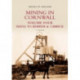 Mining in Cornwall Vol 4: Hayle to Kerrier and Carrick
