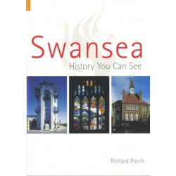 Swansea: History You Can See