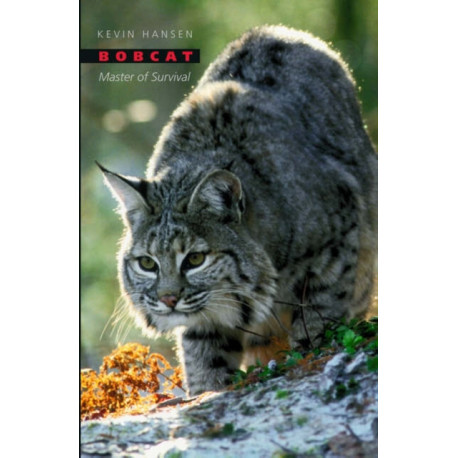 Bobcat: Master of Survival