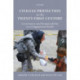 Civilian Protection in the Twenty-First Century: Governance and Responsibility in a Fragmented World