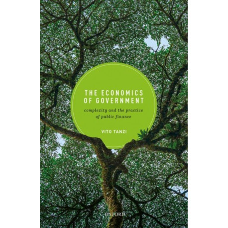 The Economics of Government: Complexity and the Practice of Public Finance