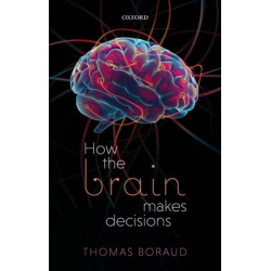 How the Brain Makes Decisions
