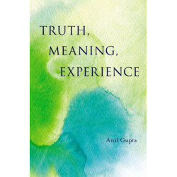 Truth, Meaning, Experience