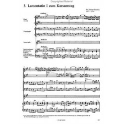 The Lamentation