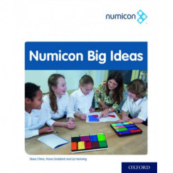 Numicon: Big Ideas