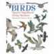 Birds: Nature's Magnificent Flying Machines