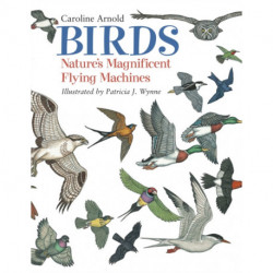 Birds: Nature's Magnificent Flying Machines