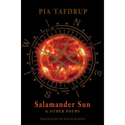 Salamander Sun and Other Poems