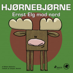 Hjørnebjørne 28 - Ernst Elg mod nord