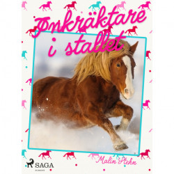 Inkräktare i stallet