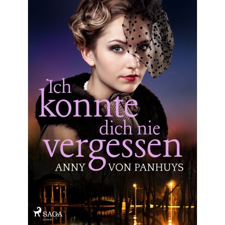 Ich konnte dich nie vergessen