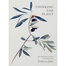Thinking the Plant: The Watercolour Drawings of Rebecca John