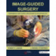 Image-Guided Surgery: Fundamentals and Clinical Applications in Otolaryngology