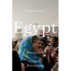 Egypt: Contested Revolution