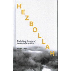 Hezbollah: The Political Economy of Lebanon's Party of God