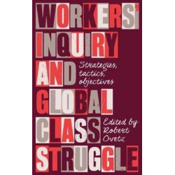 Workers' Inquiry and Global Class Struggle: Strategies, Tactics, Objectives
