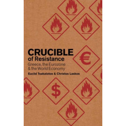 Crucible of Resistance: Greece, the Eurozone and the World Economic Crisis