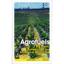 Agrofuels: Big Profits, Ruined Lives and Ecological Destruction
